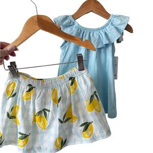 Carter's Lemon Skirt and Light Blue Top Set